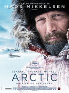 Arctic: Ledové peklo
